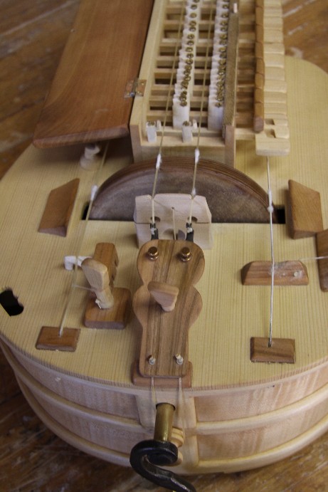 Große Berchtesgadener Leier – Detail