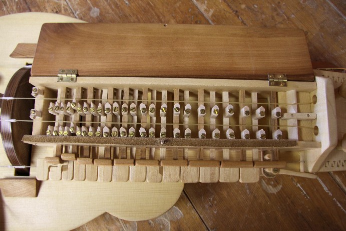 Große Berchtesgadener Leier – Detail